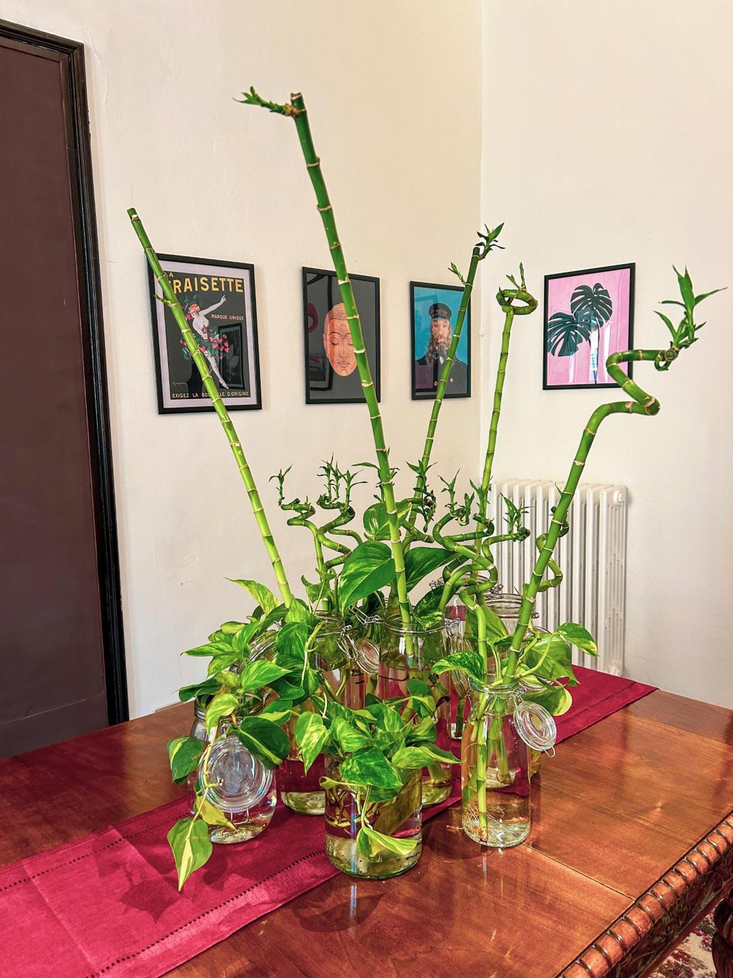 Residenza Studio Delle Arti — Photos 3